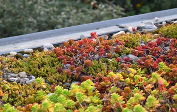 the cost of Hazlehead green roof installation