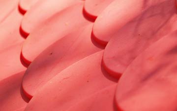 Hazlehead plastic roof costs