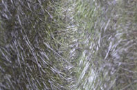 Hazlehead fibreglass roof work